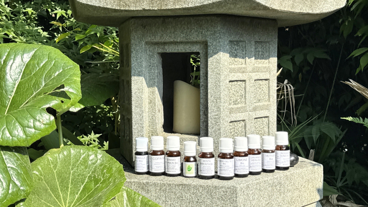 Oli Essenziali Puri Euodia