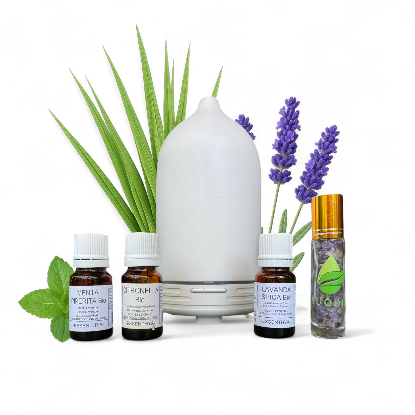 Kit Antizanzare Ambiente
