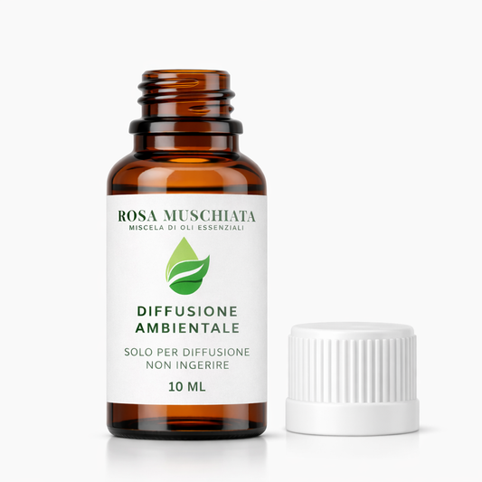 Rosa Muschiata Euodia