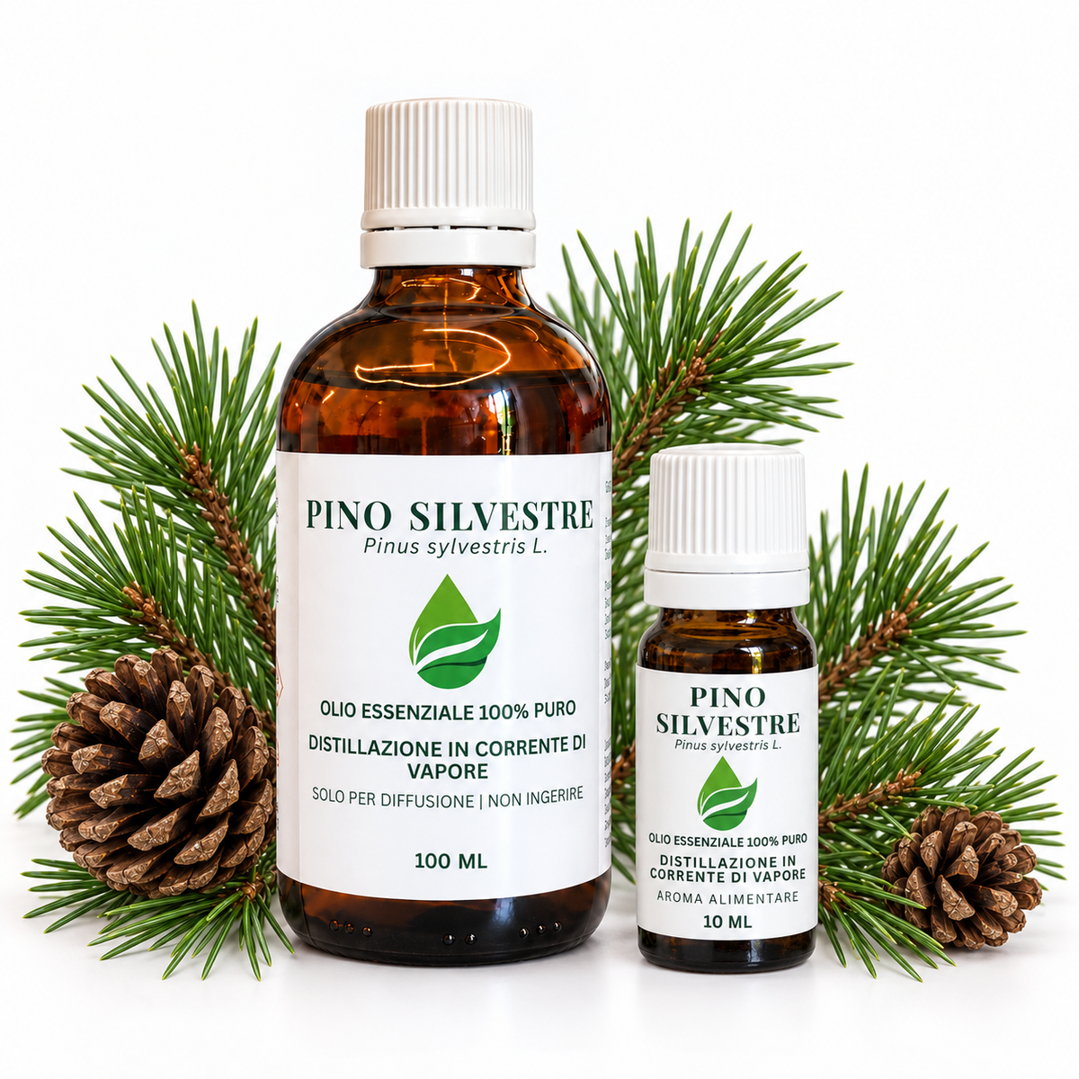 Olio Essenziale di Pino Silvestre