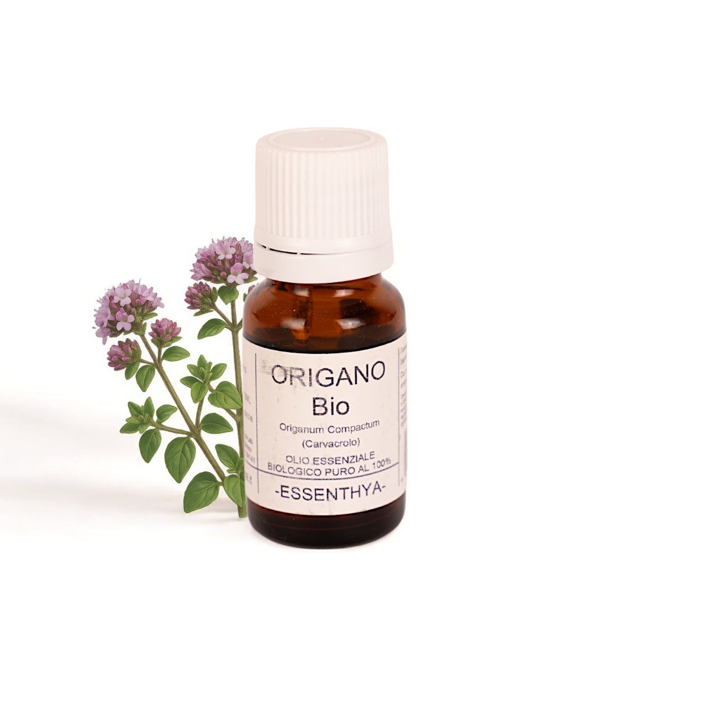 Olio essenziale Origano Bio