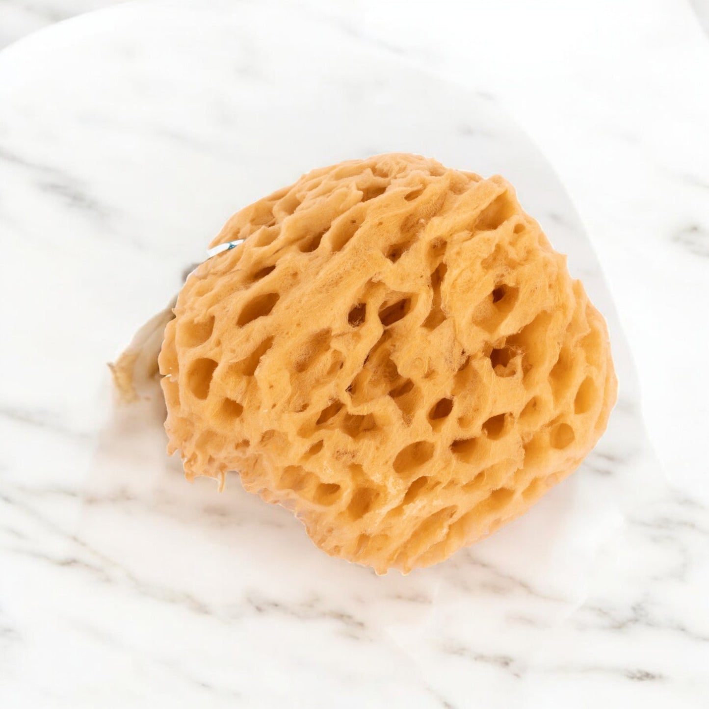 Spugna naturale di Simi per il corpo