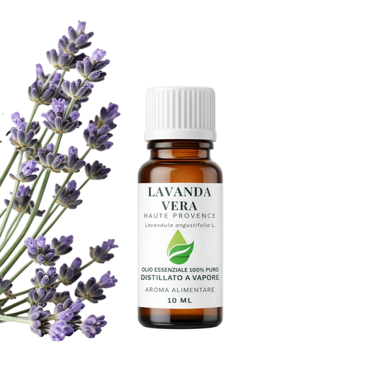 Olio essenziale di Lavanda Vera Bio EUODIA — Lavandula angustifolia Miller, Haute-Provence su sfondo trasparente