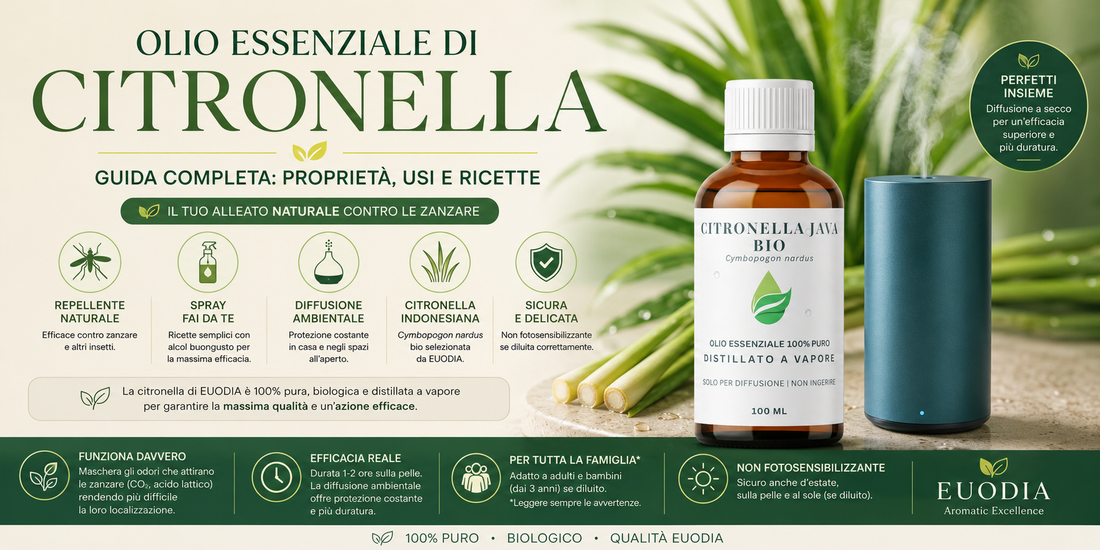 Olio Essenziale di Citronella Euodia, guida completa