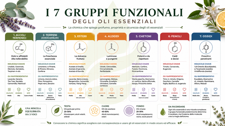 7 gruppi funzionali degli Oli Essenziali, Euodia