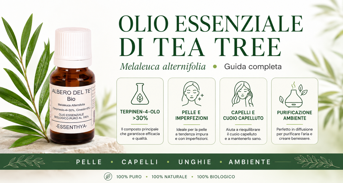 Olio essenziale di tea tree albero del tè EUODIA — Melaleuca alternifolia