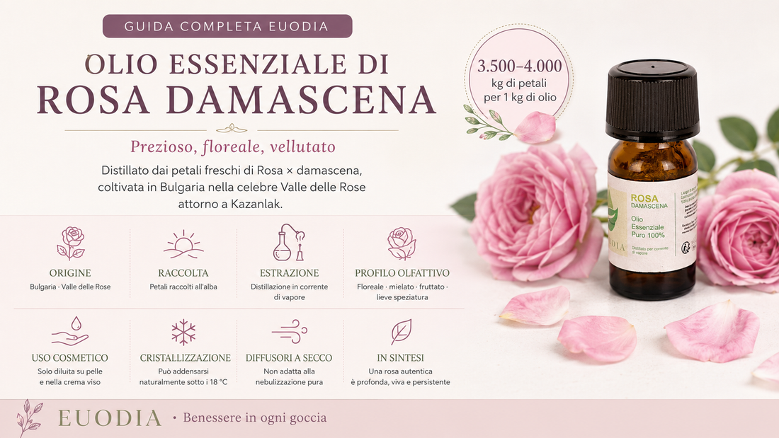 Olio essenziale di Rosa Damascena EUODIA con petali di rosa bulgara nella Valle delle Rose
