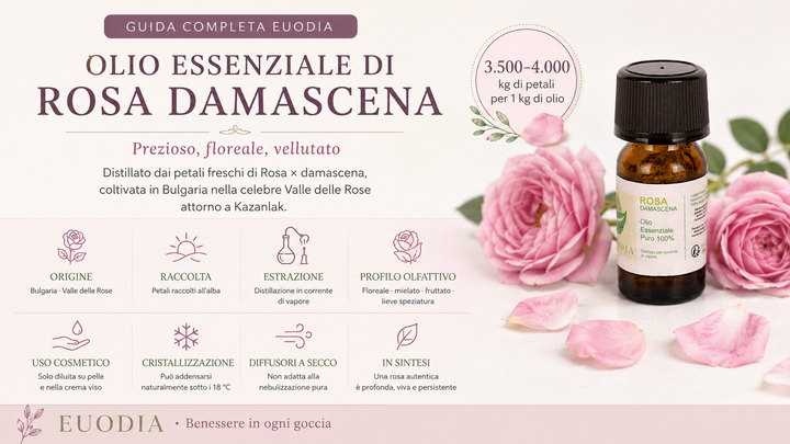 Olio essenziale di Rosa Damascena EUODIA con petali di rosa bulgara nella Valle delle Rose