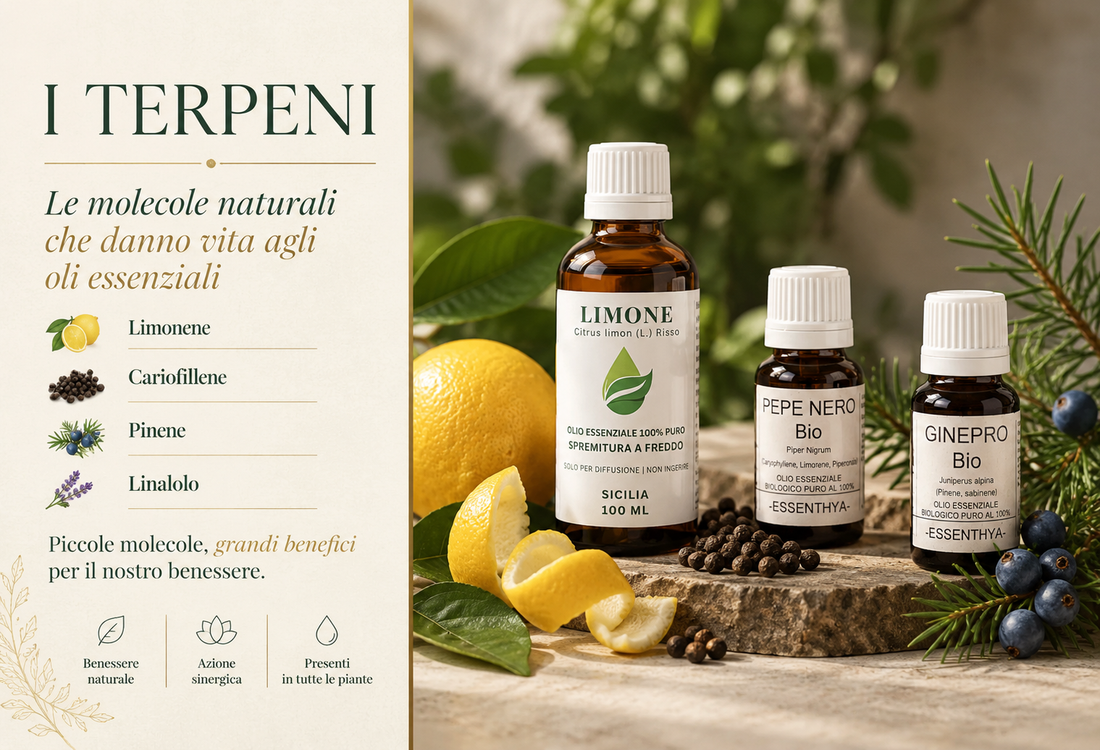 I terpeni 