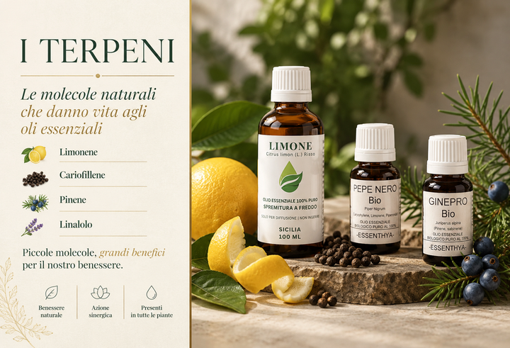 I terpeni 