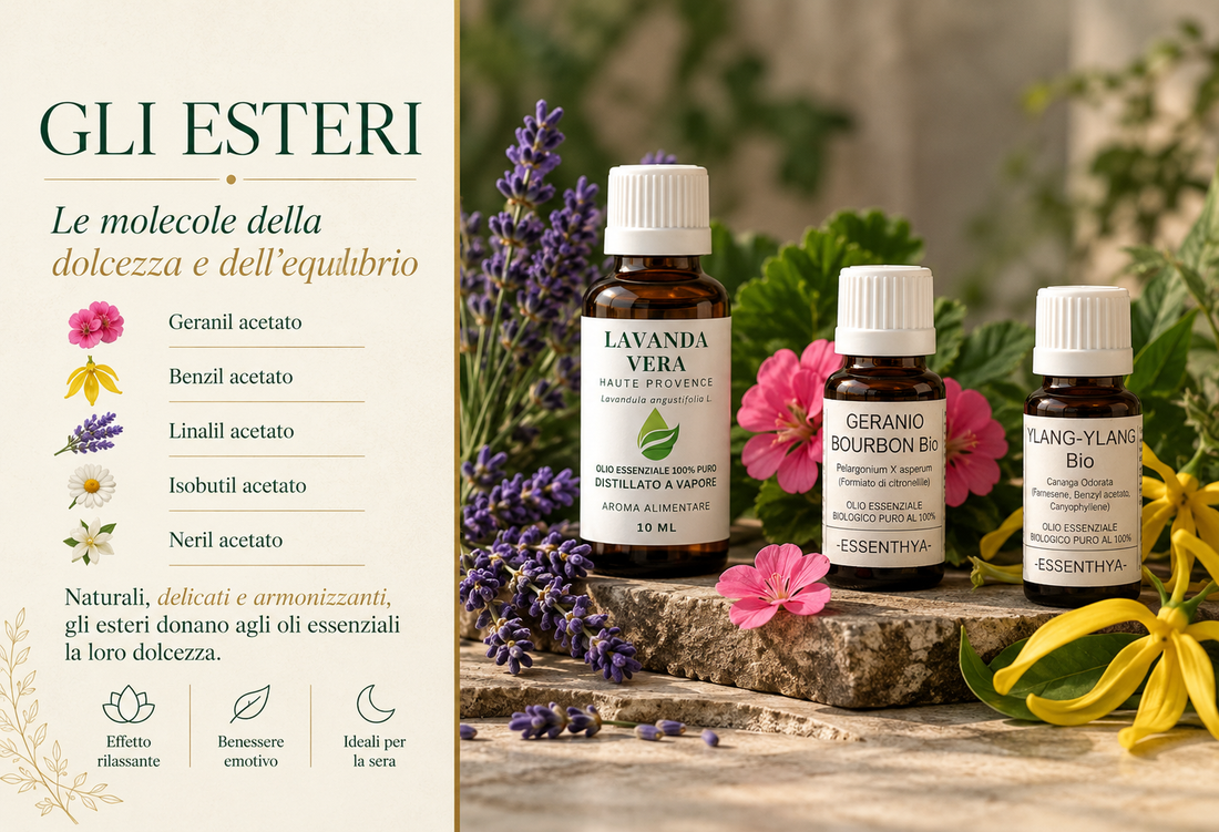 Esteri in aromaterapia