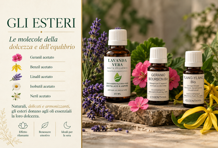 Esteri in aromaterapia