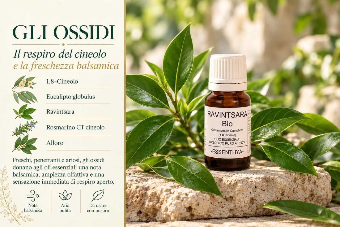 Gli ossidi negli oli essenziali e il 1,8-cineolo — flacone di olio essenziale di Ravintsara bio (Cinnamomum camphora) su pietra tra foglie fresche, con eucalipto globulus, rosmarino ct. cineolo e alloro