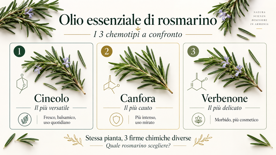 Olio Essenziale di Rosmarino 3 chemotipi