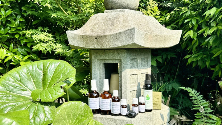 Flaconi di oli essenziali puri su lanterna in pietra tra foglie verdi — guida completa all'aromaterapia EUODIA