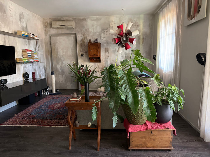 Design Olfattivo di Euodia: come profumare la casa in modo naturale con gli Oli Essenziali