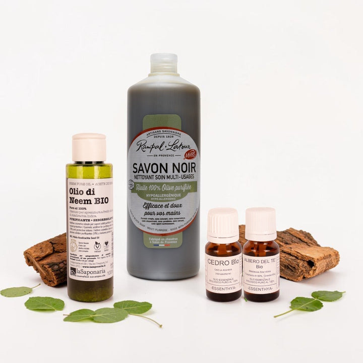 Afidi e parassiti delle piante: come eliminarli con oli essenziali, olio di neem e sapone nero