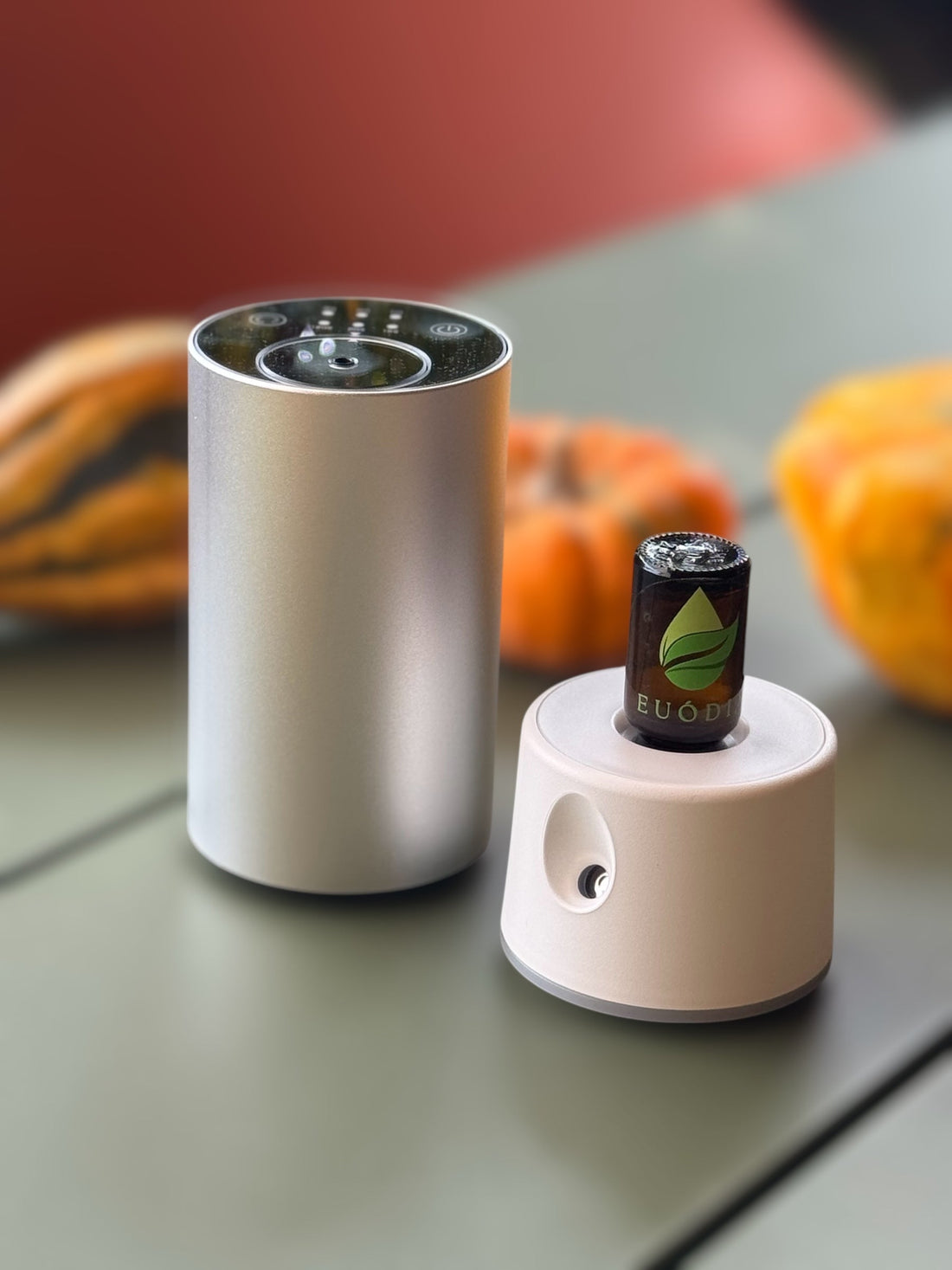 Diffusione a secco: come scegliere gli oli essenziali giusti