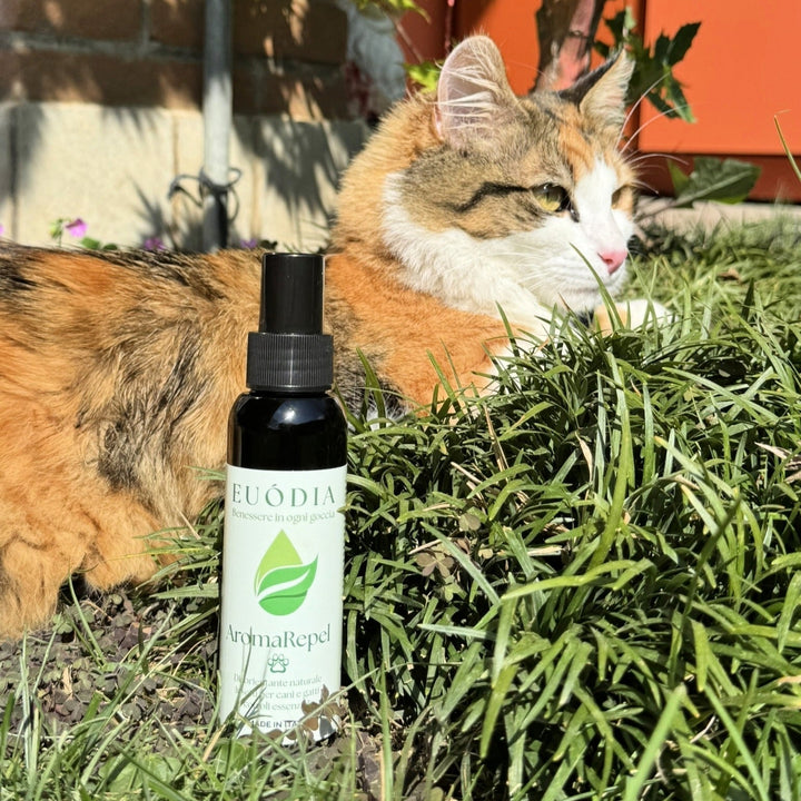 🐾 Oli essenziali e animali: guida sicura e naturale per il loro benessere