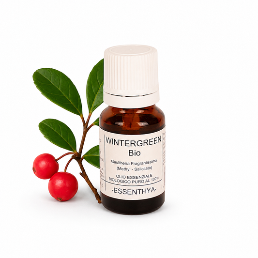 Olio Essenziale di Wintergreen Bio Euodia