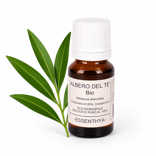 Olio essenziale Albero del Tè , Tea Tree Oil