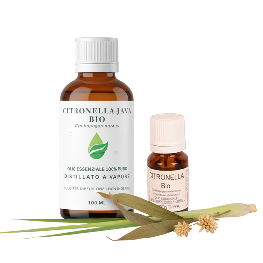 Oli Essenziali di Citronella Bio Euodia