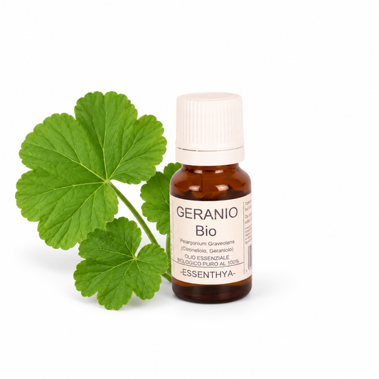 Flacone di olio essenziale di Geranio Bio in vetro ambrato, con foglie di geranio su fondo bianco — Pelargonium asperum