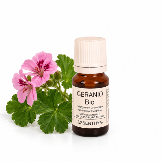 Flacone di olio essenziale di Geranio Bourbon Bio in vetro ambrato, con foglie e sommità di geranio su fondo bianco — Pelargonium asperum var. Bourbon