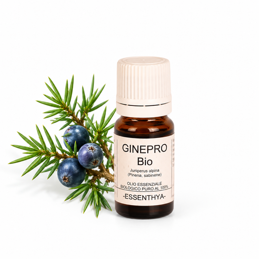 Flacone di olio essenziale di Ginepro Bio in vetro ambrato, con bacche e rametti di ginepro su fondo bianco — Juniperus communis