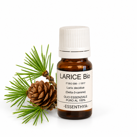 Flacone di olio essenziale di Larice Bio in vetro ambrato, con rametti di larice su fondo bianco — Larix decidua