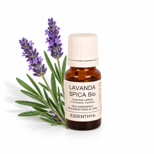 Flacone di olio essenziale di Lavanda Spica Bio in vetro ambrato, con spighe di lavanda spica su fondo bianco — Lavandula latifolia