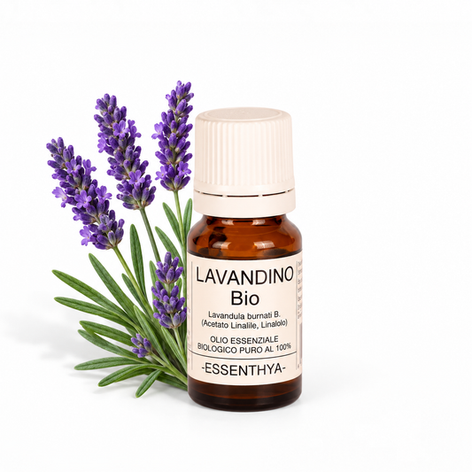 Flacone di olio essenziale di Lavandino Bio in vetro ambrato, con spighe di lavandino su fondo bianco — Lavandula hybrida