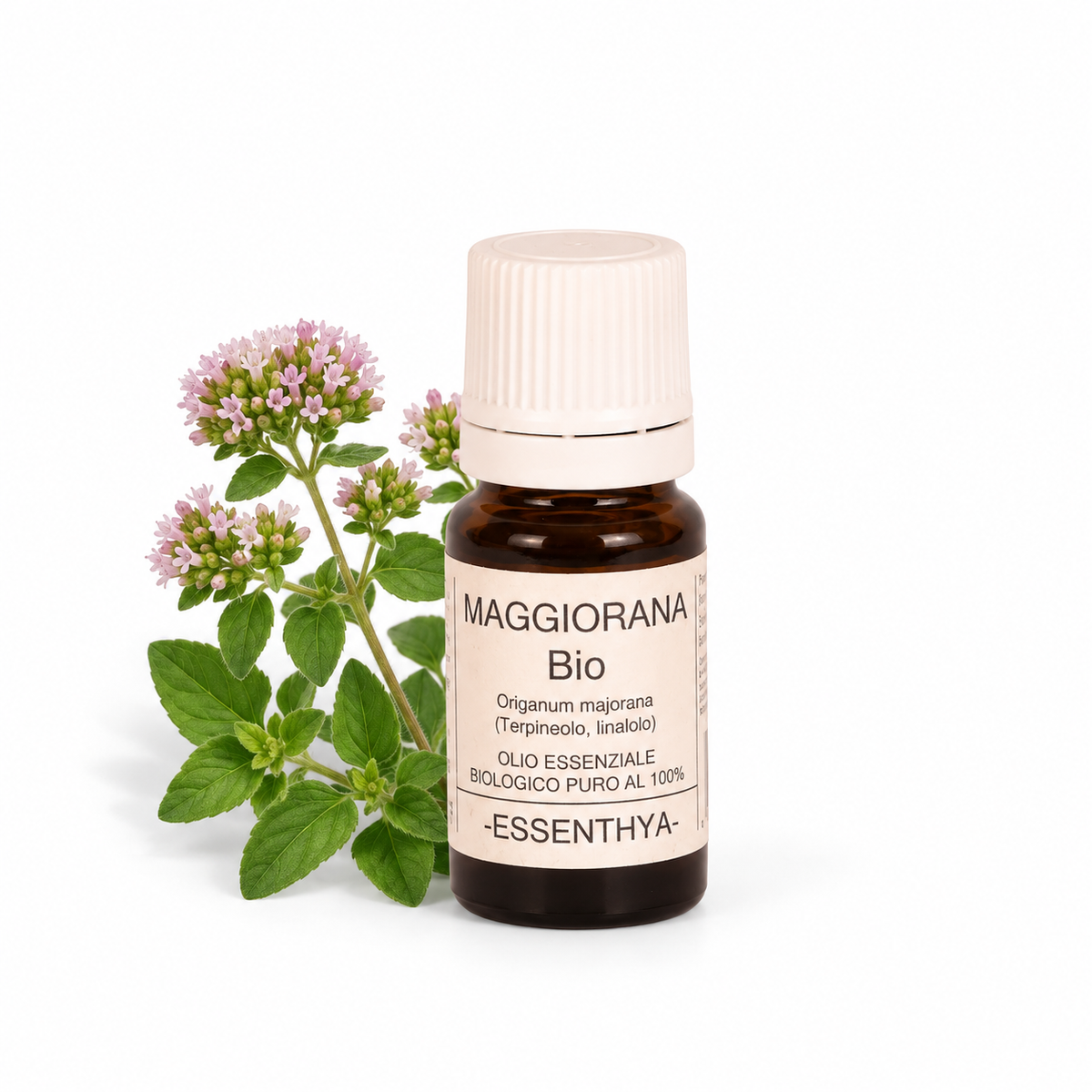 Flacone di olio essenziale di Maggiorana Bio in vetro ambrato, con rametti di maggiorana su fondo bianco — Origanum majorana