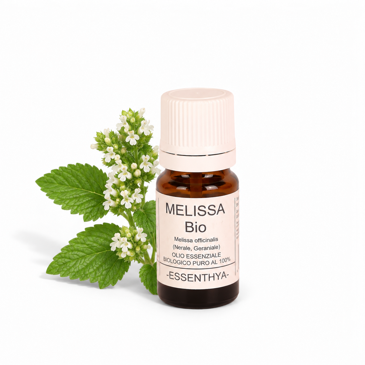 Flacone di olio essenziale di Melissa Bio in vetro ambrato, con foglie di melissa su fondo bianco — Melissa officinalis