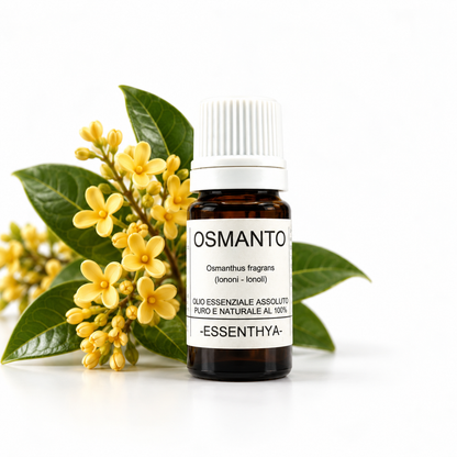 Flacone di olio essenziale di Osmanto in vetro ambrato, con i piccoli fiori arancio di osmanto su fondo bianco — Osmanthus fragrans