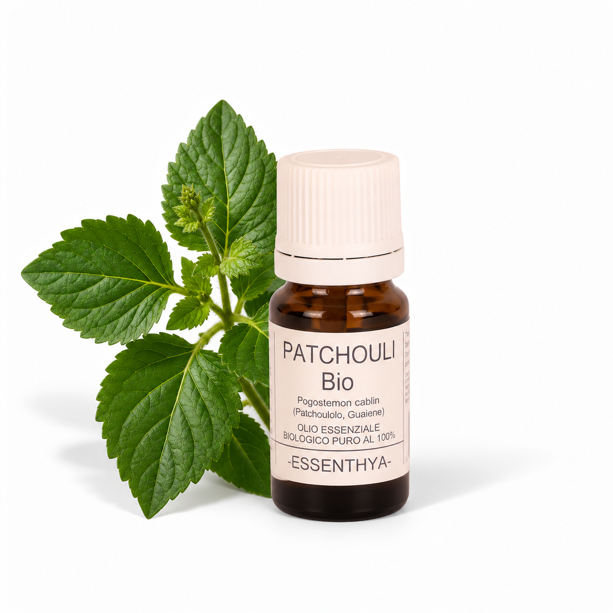 Flacone di olio essenziale di Patchouli Borneo in vetro ambrato, con foglie di patchouli su fondo bianco — Pogostemon cablin