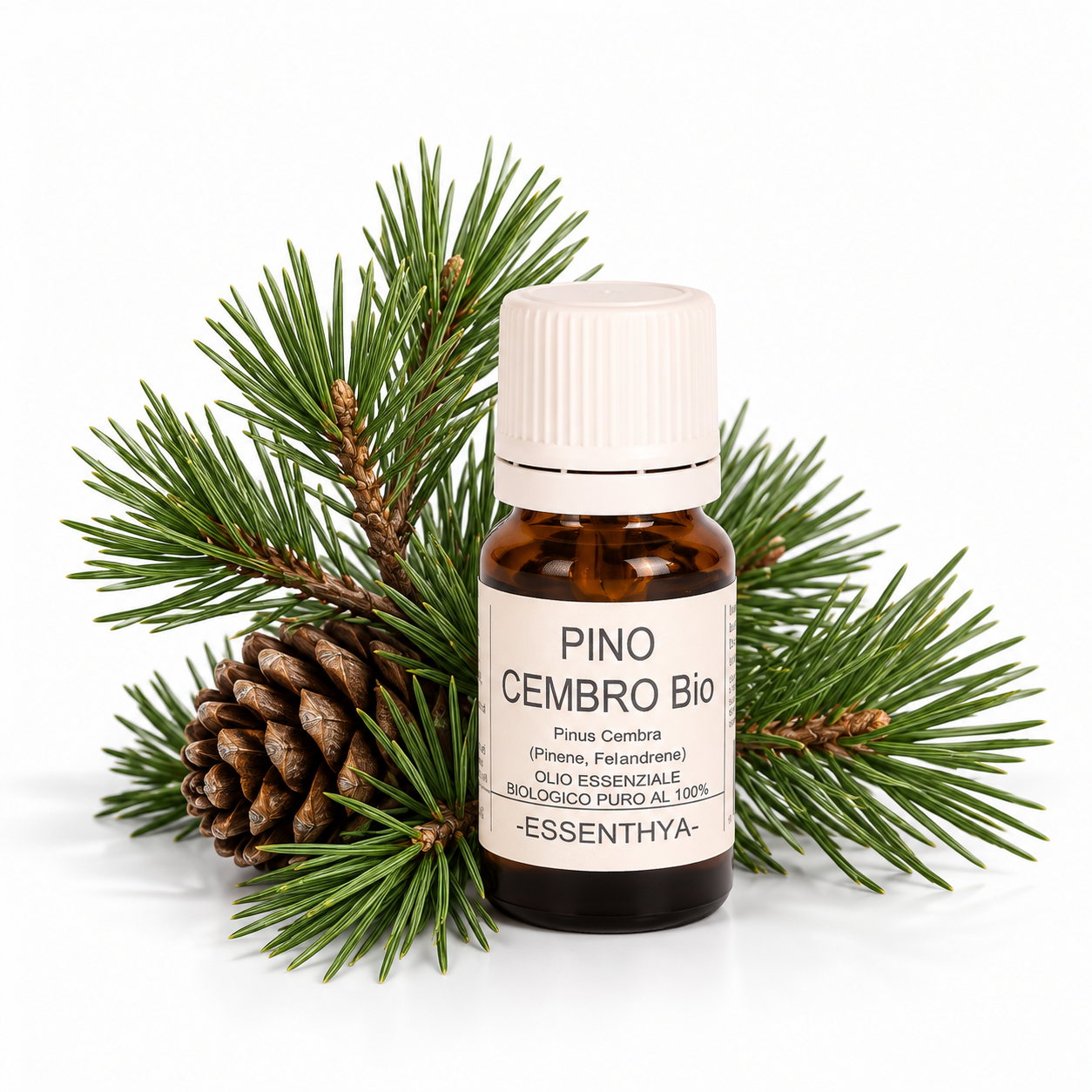 Flacone di olio essenziale di Pino Cembro Bio in vetro ambrato, con rametti e pigne di pino su fondo bianco — Pinus cembra