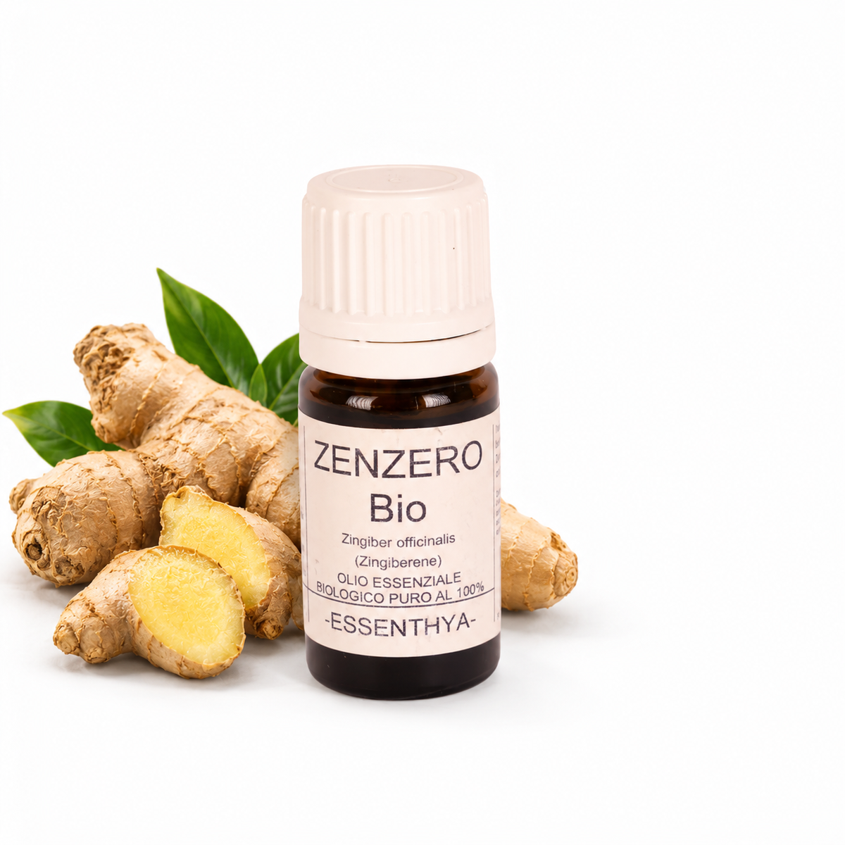 Flacone di olio essenziale di Zenzero Bio in vetro ambrato, con rizoma di zenzero fresco su fondo bianco — Zingiber officinale