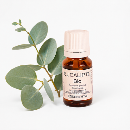 Olio essenziale Eucalipto Bio