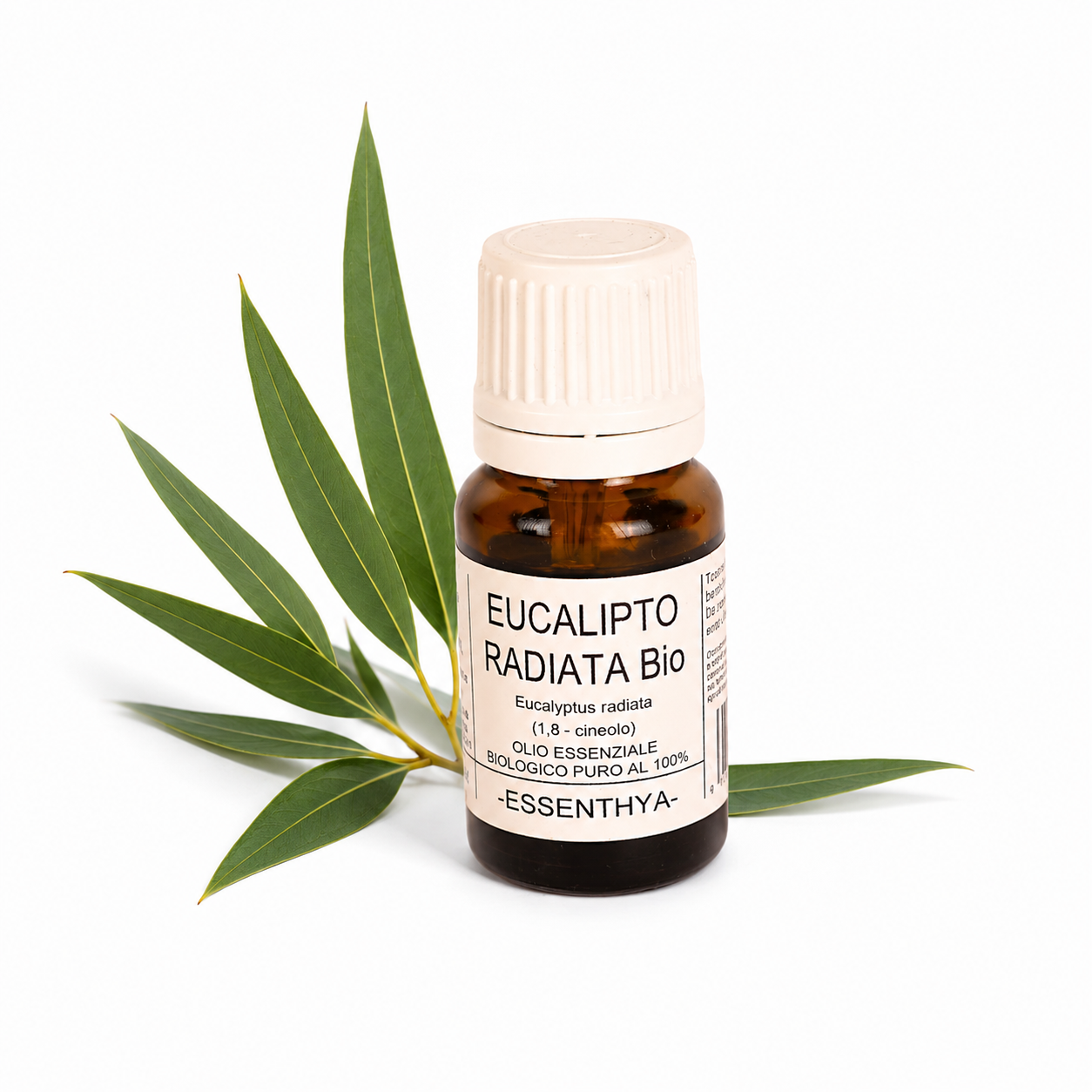 Olio essenziale Eucalipto radiata Bio