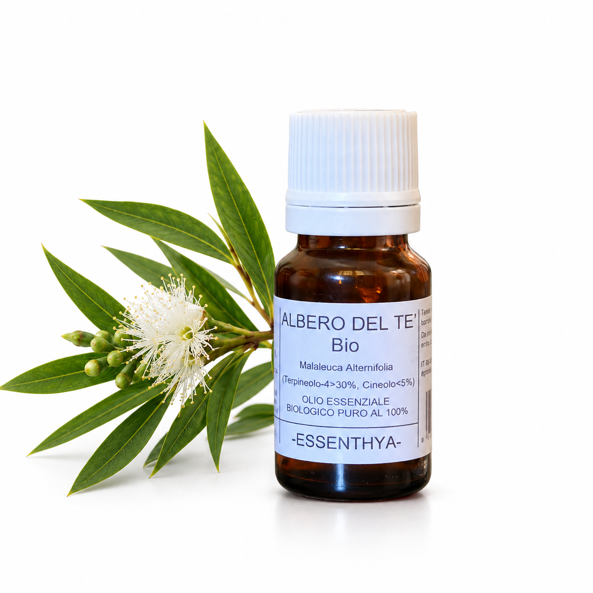 Flacone di olio essenziale di Albero del Tè Bio da 10 ml accanto a un rametto fiorito di melaleuca — Melaleuca alternifolia
