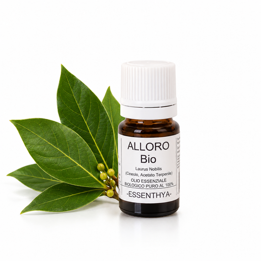 Flacone di olio essenziale di Alloro Bio da 5 ml accanto a foglie di alloro fresche — Laurus nobilis