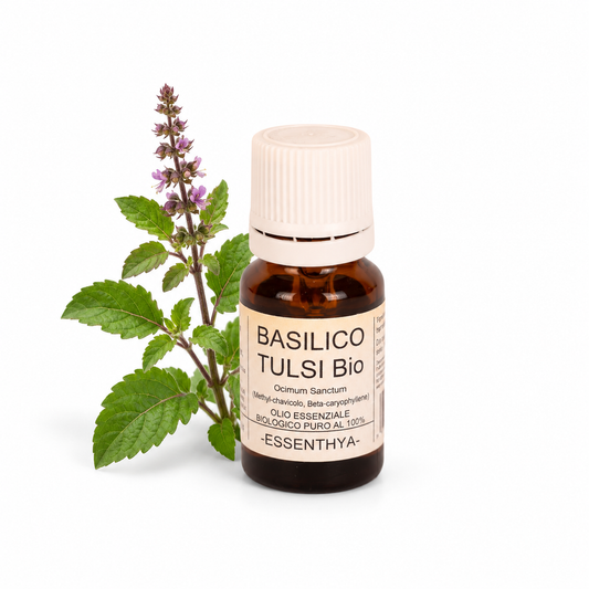 Flacone di olio essenziale di Basilico Santo Tulsi Bio da 10 ml accanto a un rametto fiorito — Ocimum sanctum