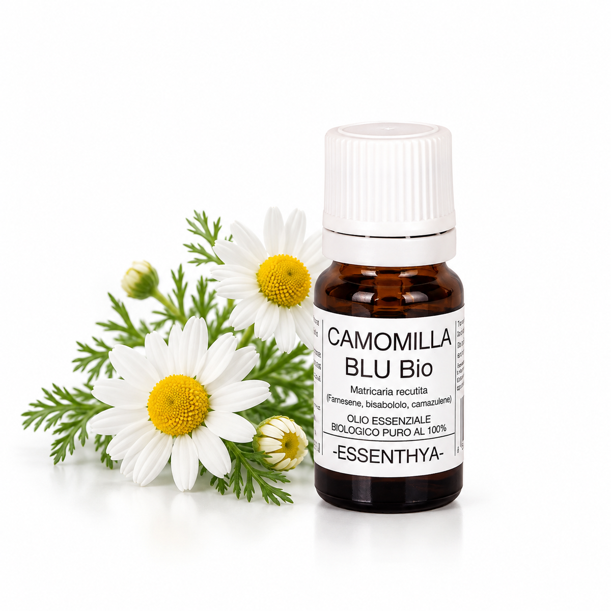 Flacone di olio essenziale di Camomilla Blu Bio da 5 ml accanto ai fiori di camomilla — Matricaria chamomilla