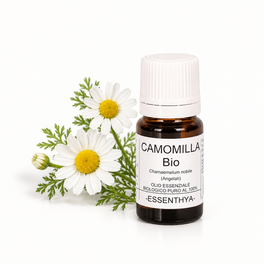 Flacone di olio essenziale di Camomilla Romana Bio da 5 ml accanto ai fiori — Anthemis nobilis