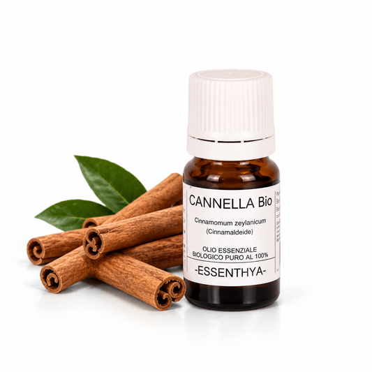 Flacone di olio essenziale di Cannella Bio da 10 ml accanto ai bastoncini di corteccia — Cinnamomum verum di Ceylon