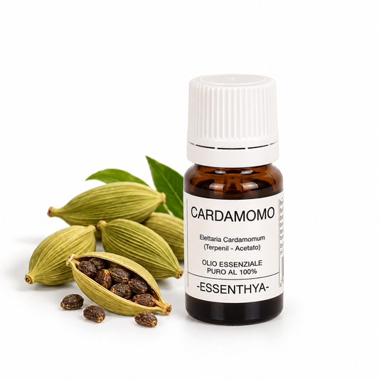 Flacone di olio essenziale di Cardamomo da 5 ml accanto alle capsule di cardamomo — Elettaria cardamomum