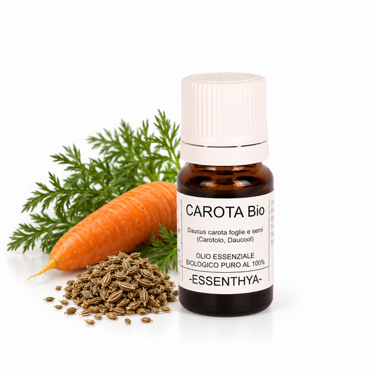 Flacone di olio essenziale di Carota Bio da 5 ml accanto ai semi e alle ombrelle di carota — Daucus carota