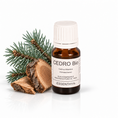 Flacone di olio essenziale di Cedro Bio da 10 ml accanto al legno di cedro — Cedrus atlantica del Marocco