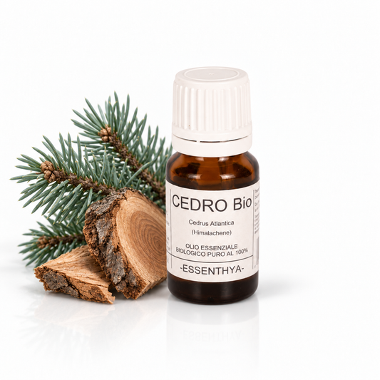 Flacone di olio essenziale di Cedro Bio da 10 ml accanto al legno di cedro — Cedrus atlantica del Marocco